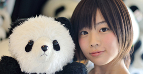 PANDA 1/2